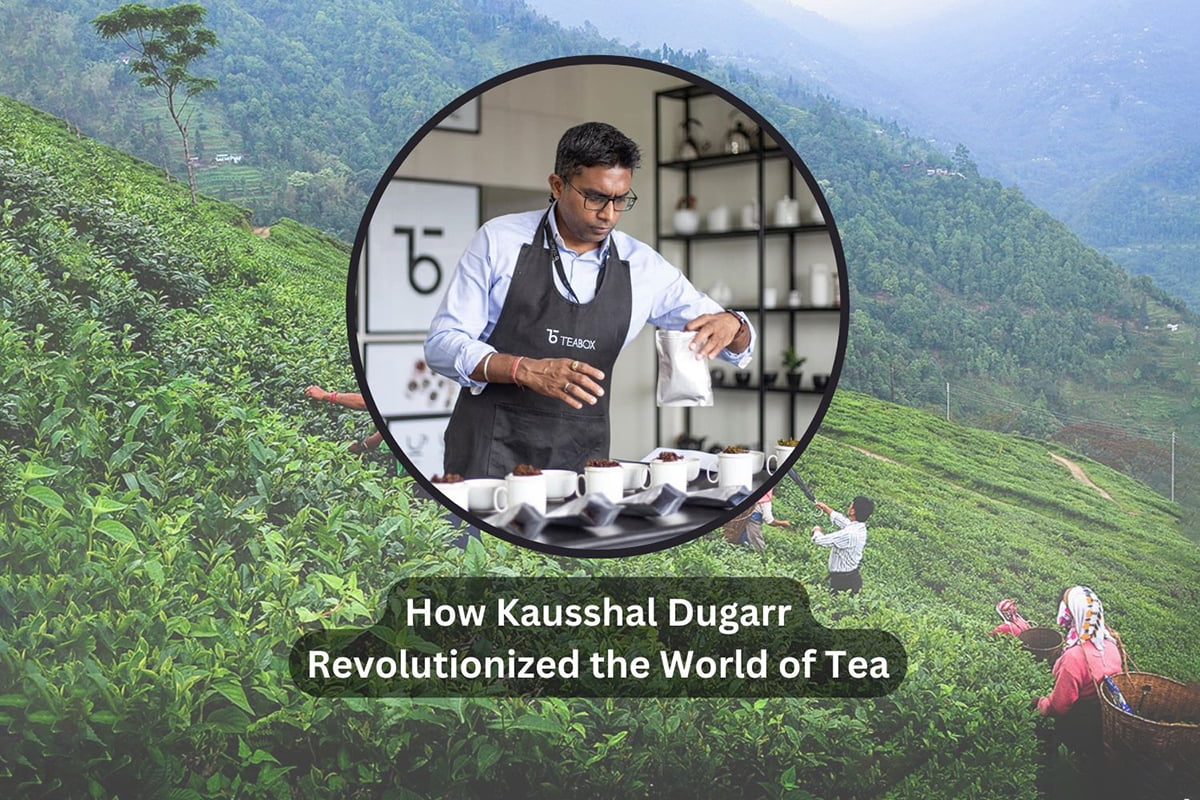 Teabox A Journey of Freshness from Tea Gardens to Your Cup! The